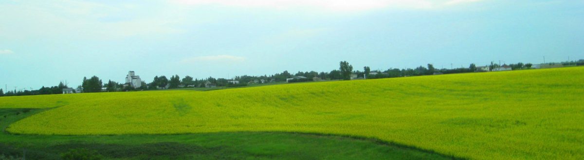 field1