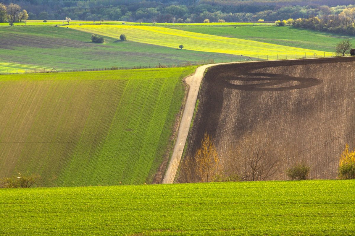 landscape1